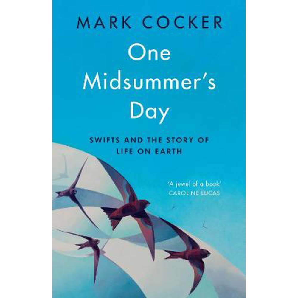 One Midsummer's Day: Swifts and the Story of Life on Earth (Hardback) - Mark Cocker